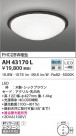 KOIZUMI ߾  AH43170L