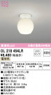 ODELIC ǥå 󥰥饤 OL218454LR