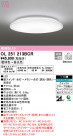 ODELIC ǥå 󥰥饤 OL251213BCR