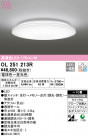 ODELIC ǥå 󥰥饤 OL251213R