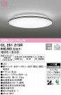ODELIC ǥå 󥰥饤 OL251215R
