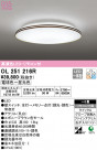 ODELIC ǥå 󥰥饤 OL251216R