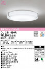 ODELIC ǥå 󥰥饤 OL251460R