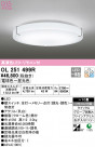 ODELIC ǥå 󥰥饤 OL251499R