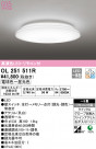 ODELIC ǥå 󥰥饤 OL251511R