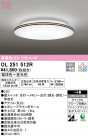 ODELIC ǥå 󥰥饤 OL251512R