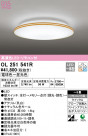 ODELIC ǥå 󥰥饤 OL251541R