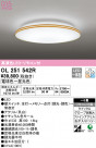 ODELIC ǥå 󥰥饤 OL251542R