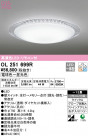 ODELIC ǥå 󥰥饤 OL251699R