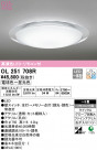 ODELIC ǥå 󥰥饤 OL251708R