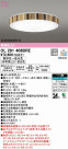 ODELIC ǥå 󥰥饤 OL291408BRE