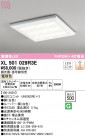 ODELIC ǥå ١饤 XL501029R3E