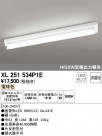 ODELIC ǥå ١饤 XL251534P1E