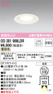 ODELIC ǥå 饤 OD301069LDR