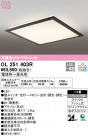 ODELIC ǥå 󥰥饤 OL251403R