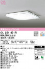 ODELIC ǥå 󥰥饤 OL251431R