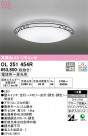 ODELIC ǥå 󥰥饤 OL251454R