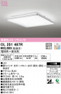 ODELIC ǥå 󥰥饤 OL251487R