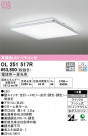 ODELIC ǥå 󥰥饤 OL251517R