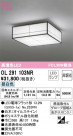 ODELIC ǥå 󥰥饤 OL291103NR