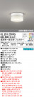 ODELIC ǥå 󥰥饤 OL291251RG