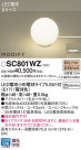 Panasonic  SC801WZ