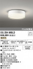 ODELIC ǥå ƥꥢ饤 OG254960LD