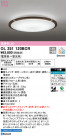 ODELIC ǥå 󥰥饤 OL251120BCR