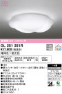 ODELIC ǥå 󥰥饤 OL251251R