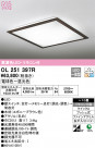 ODELIC ǥå 󥰥饤 OL251397R