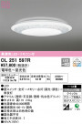 ODELIC ǥå 󥰥饤 OL251597R