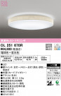 ODELIC ǥå 󥰥饤 OL251670R