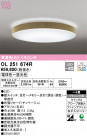 ODELIC ǥå 󥰥饤 OL251674R