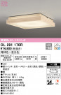 ODELIC ǥå 󥰥饤 OL291170R