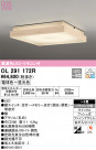 ODELIC ǥå 󥰥饤 OL291172R
