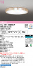 ODELIC ǥå 󥰥饤 OL291503BCR