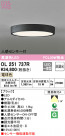 ODELIC ǥå 󥰥饤 OL251737R