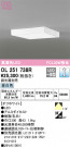 ODELIC ǥå 󥰥饤 OL251738R