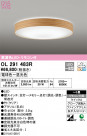 ODELIC ǥå 󥰥饤 OL291483R