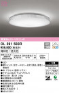ODELIC ǥå 󥰥饤 OL291583R
