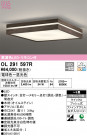 ODELIC ǥå 󥰥饤 OL291597R