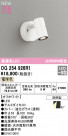 ODELIC ǥå LED ƥꥢ饤 OG254926R1