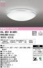 ODELIC ǥå LED 󥰥饤 OL251814R1