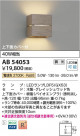 Koizumi ߾ ֥饱å AB54053