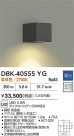 DAIKO ŵ ֥饱å DBK-40555YG