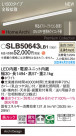 Panasonic ۲ SLB50643LB1