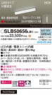 Panasonic ۲ SLB50656LB1