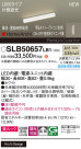 Panasonic ۲ SLB50657LB1