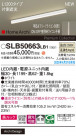 Panasonic ۲ SLB50663LB1