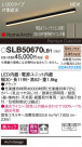 Panasonic ۲ SLB50670LB1